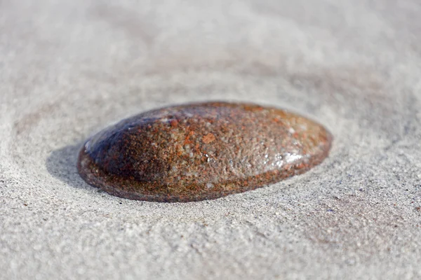 Один камень в песчаной земле — стоковое фото