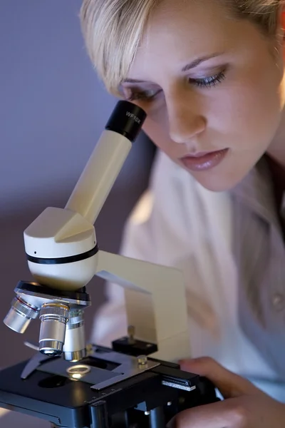 Female Research — Stock Photo, Image