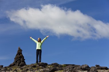 Woman Celebrating Achievement At The Top Of A Mountain clipart