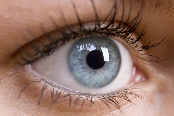 Belo olho azul — Fotografia de Stock