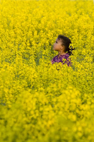 stock image Lost In Yellow