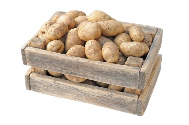 Patates.