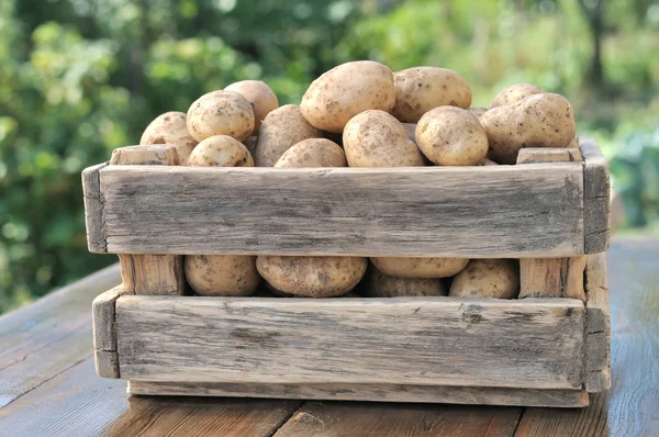 Kartoffeln in einer Schachtel. — Stockfoto