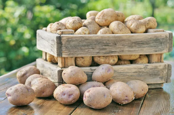 Potatoes in a box. — Stock Photo, Image