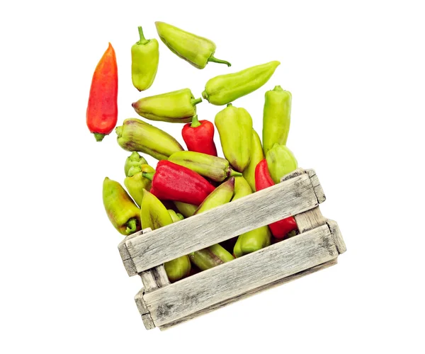 Pepper in a box isolated. — Stock Photo, Image