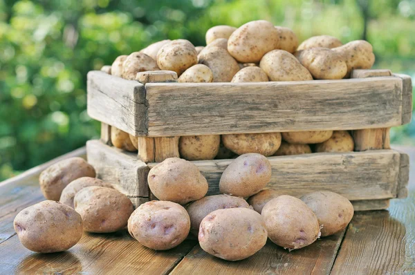 Batatas em uma caixa . Fotos De Bancos De Imagens Sem Royalties