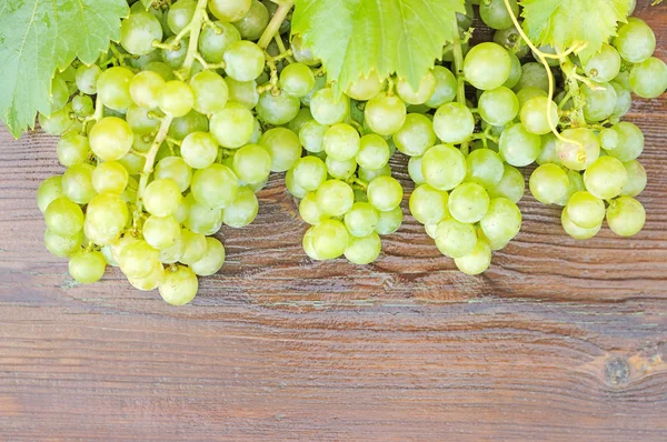 Горсть винограда. — стоковое фото