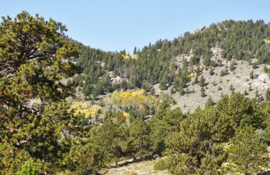 aspen Vadisi ile zirveleri