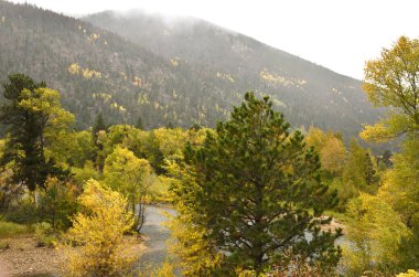 Fall on the poudre river clipart