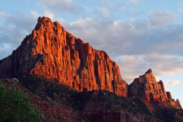 The Watchman - Zion National Park — Stock Photo, Image