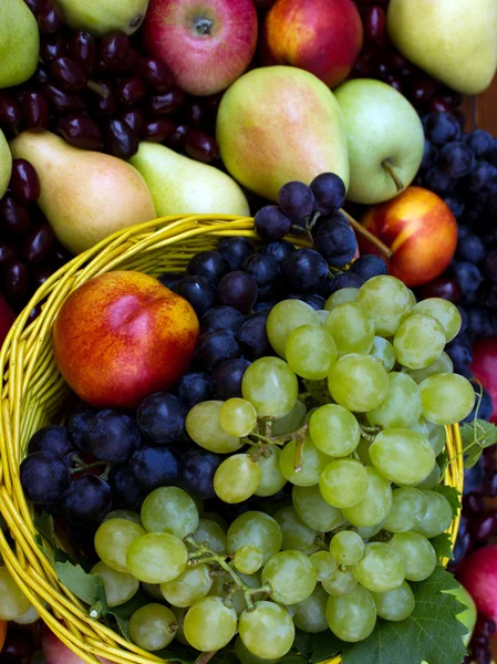Frutta fresca biologica — Foto Stock