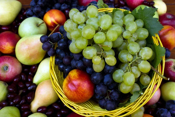 Горсть свежих фруктов — стоковое фото