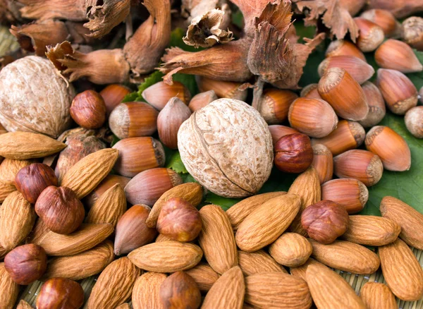 Nuts - almonds, hazelnuts and walnuts — Stock Photo, Image