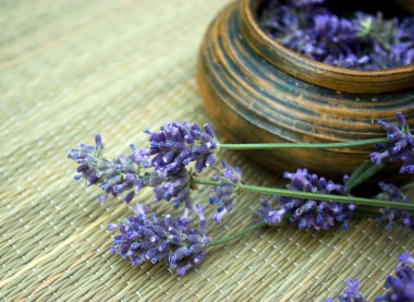 Lavender clipart