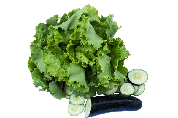 Свіжий салат і огірок — стокове фото