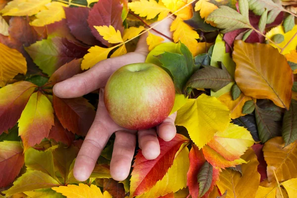 Manzana en mano — Foto de Stock