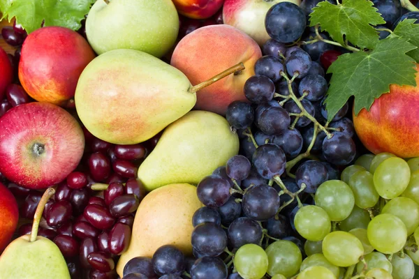 Eine Handvoll verschiedene frische Früchte — Stockfoto