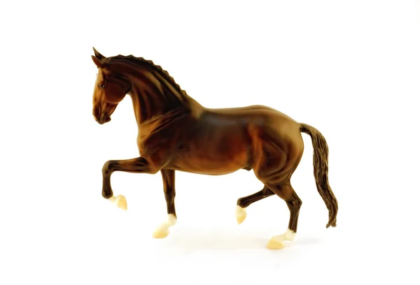Matt cavalo modelo raças Hanover em um fundo branco — Fotografia de Stock