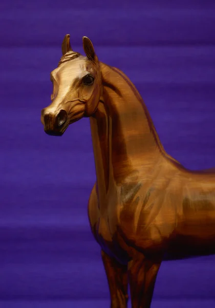 Glänsande porträtt av en häst ras arabiska till lila bakgrund — Stockfoto