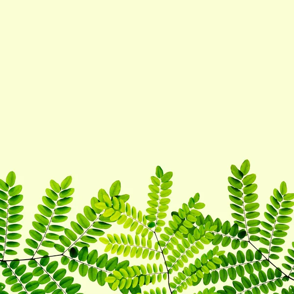Verse groene bladeren achtergrond — Stockfoto
