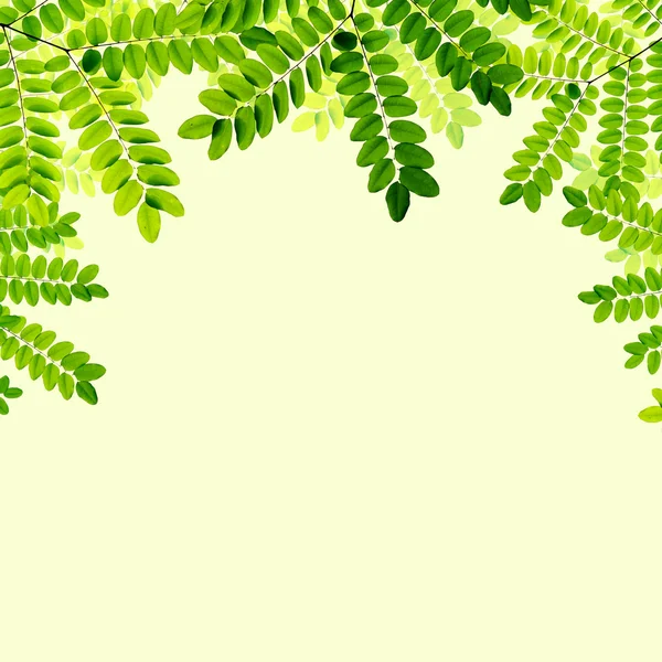 新緑の葉の背景 — ストック写真
