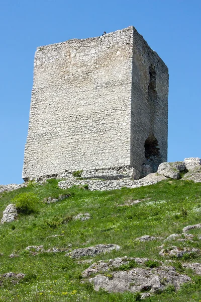 stock image Castle Olsztyn