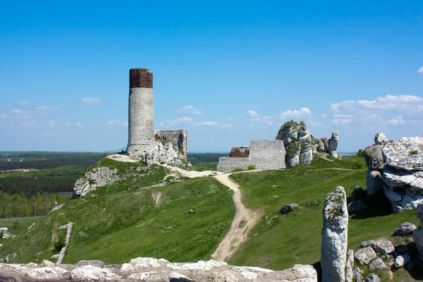 stock image Castle in Olsztyn