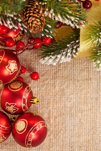 Cornice natalizia con ramo — Foto Stock