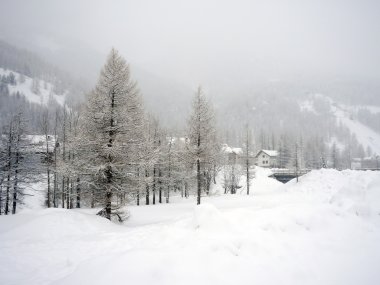 pragelato kışın