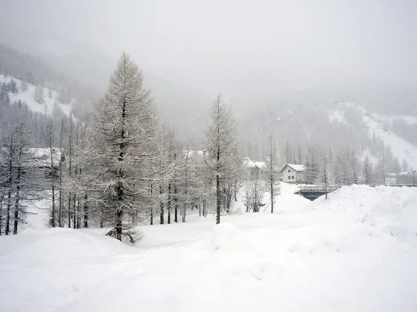 Zima w pragelato — Zdjęcie stockowe