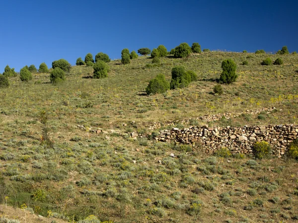 Landschap van ogliastra, Sardinië, Italië — Stockfoto