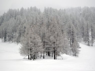 pragelato kışın