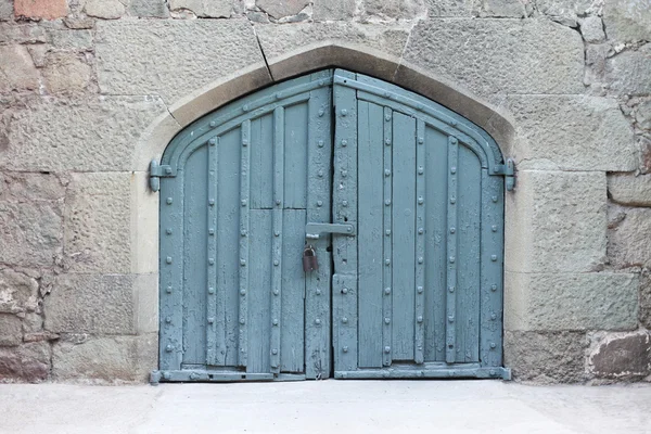 Porta de madeira antiga de um palácio — Fotografia de Stock