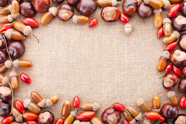 Assorted acorns, chestnuts and dogrose frame on fabric texture b — Stock Photo, Image