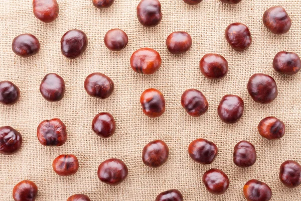 Chestnuts on fabric texture background — Stock Photo, Image