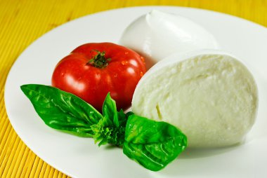 mozarella