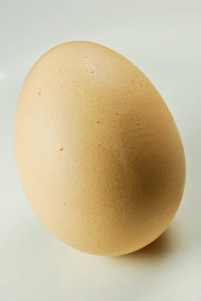 Uovo di gallina — Stockfoto