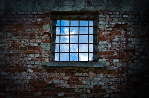 stock image Window