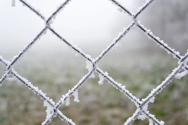 stock image Frosty wire fence