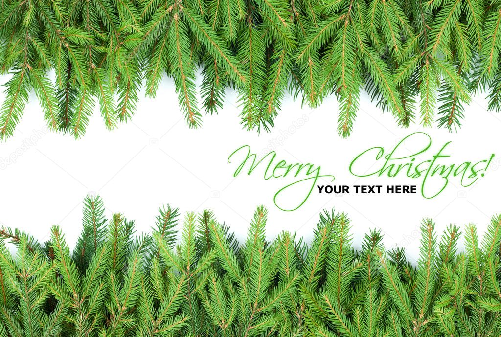 Christmas fir tree frame design elements