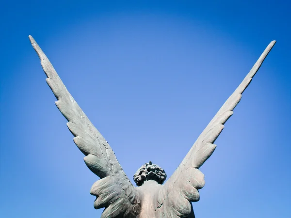 天使の翼 — ストック写真