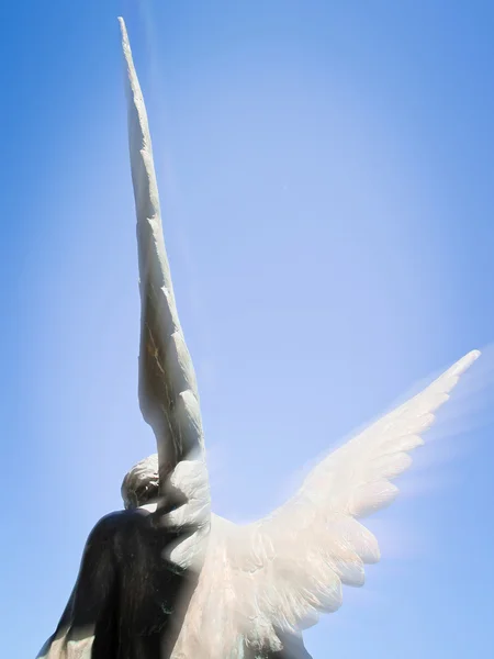 Andělská křídla — Stock fotografie