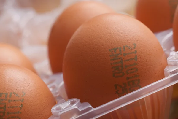 Huevos en el embalaje —  Fotos de Stock