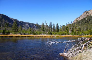 doğal yellowstone Milli Parkı