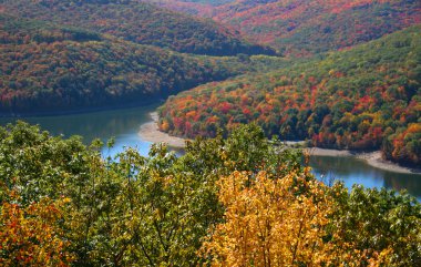 Fall in Pennsylvania clipart
