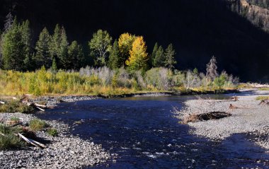 Yellowstone Milli Parkı