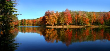 Allegheny Devlet Parkı