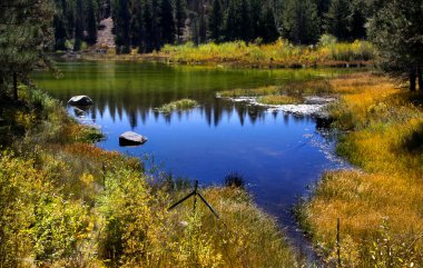 Pond and reflections clipart