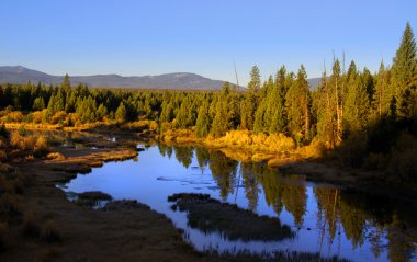 Yellowstone Milli Parkı