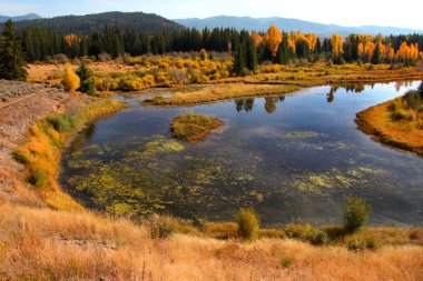 Snake River